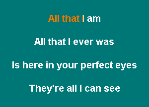 All that I am

All that I ever was

Is here in your perfect eyes

They're all I can see