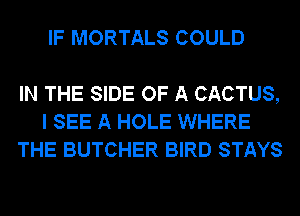IF MORTALS COULD

IN THE SIDE OF A CACTUS,
I SEE A HOLE WHERE
THE BUTCHER BIRD STAYS