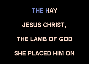 THE HAY

JESUS CHRIST,

THE LAMB OF GOD

SHE PLACED HIM 0N