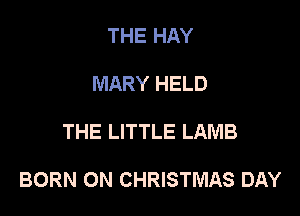 THE HAY
MARY HELD

THE LITTLE LAMB

BORN ON CHRISTMAS DAY