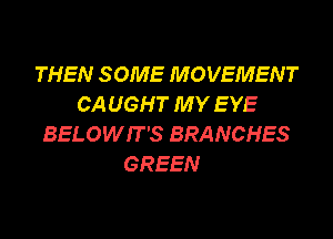 THEN SOME MOVEMENT
CA U GH T M Y E YE
BELOWIT'S BRANCHES
GREEN