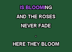 IS BLOOMING
AND THE ROSES
NEVER FADE

HERE THEY BLOOM