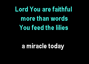 Lord You are faithful
more than words
You feed the lilies

a miracle today