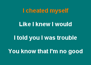 I cheated myself
Like I knew I would

ltold you I was trouble

You know that I'm no good