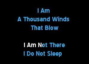 I Am
A Thousand Winds
That Blow

I Am Not There
I Do Not Sleep