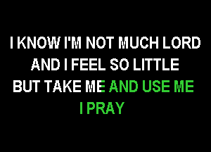I KNOW I'M NOT MUCH LORD
AND I FEEL 80 LITTLE
BUT TAKE ME AND USE ME
I PRAY