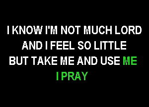 I KNOW I'M NOT MUCH LORD
AND I FEEL 80 LITTLE
BUT TAKE ME AND USE ME
I PRAY
