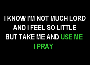 I KNOW I'M NOT MUCH LORD
AND I FEEL 80 LITTLE
BUT TAKE ME AND USE ME
I PRAY