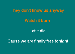 They don't know us anyway
Watch it burn

Let it die

'Cause we are finally free tonight