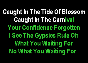 Caught In The Tide 0f Blossom
Caught In The Carnival
Your Confidence Forgotten
I See The Gypsies Rule Oh
What You Waiting For
No What You Waiting For
