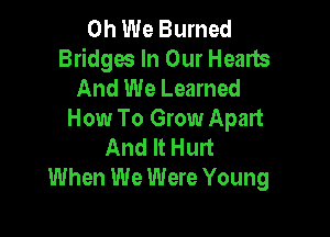 0h We Burned
Bridges In Our Hearts
And We Learned

How To Grow Apart
And It Hurt
When We Were Young