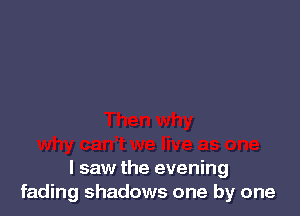 I saw the evening
fading shadows one by one