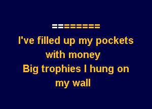 I've filled up my pockets

with money
Big trophies I hung on
my wall