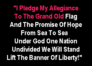 I Pledge My Allegiance
To The Grand Old Flag
And The Promise Of Hope
From Sea To Sea
Under God One Nation
Undivided We Will Stand
Lift The Banner Of Liberty!