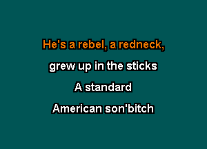 He's a rebel, a redneck,

grew up in the sticks
A standard

American son'bitch