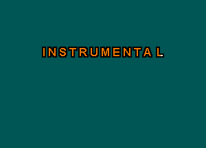 INSTRUMENTA L