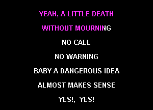 YEAH, A LITTLE DEATH

WITHOUT MOURHING
N0 CALL
NO WARNING
BABY A DANGEROUS IDEA
ALMOST MAKES SENSE
YES!, YES!