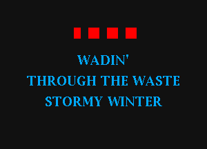 WADIN'

THROUGH THE WASTE
STORMY WINTER