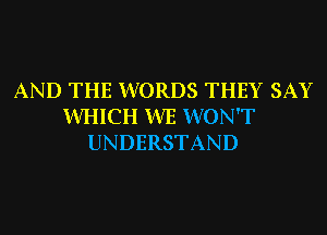 AND THE WORDS THEY SAY
WHICH WE WON'T
UNDERSTAND