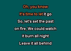 Oh, you know
It's time to let it go
So, let's set the past

on fire, We could watch

it burn all night

Leave it all behind