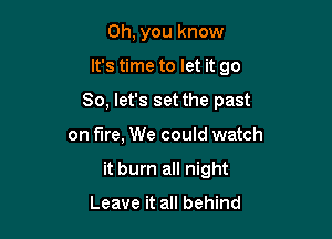 Oh, you know
It's time to let it go
So, let's set the past

on fire, We could watch

it burn all night

Leave it all behind