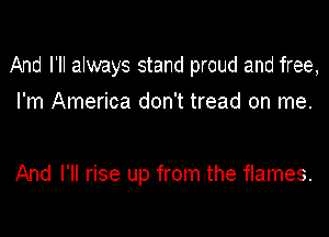 And I'll always stand proud and free,

I'm America don't tread on me.

And I'll rise up from the flames.