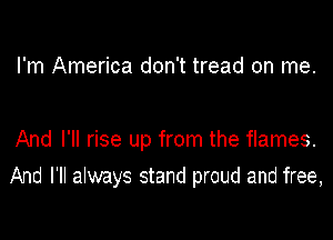 I'm America don't tread on me.

And I'll rise up from the flames.

And I'll always stand proud and free,