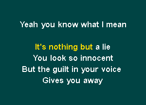 Yeah you know what I mean

It's nothing but a lie

You look so innocent
But the guilt in your voice
Gives you away