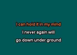 I can hold it in my mind

I never again will

go down under ground