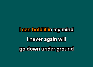 I can hold it in my mind

I never again will

go down under ground