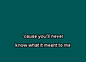 'cause you'll never

know what it meant to me