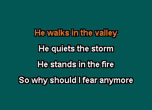 He walks in the valley
He quiets the storm

He stands in the fire

80 why should I fear anymore