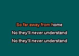 So far away from home

No they'll never understand

No they'll never understand