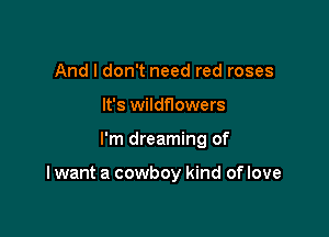And I don't need red roses
It's wildflowers

I'm dreaming of

I want a cowboy kind of love