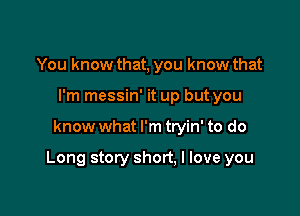 You know that, you know that
I'm messin' it up but you

know what I'm tryin' to do

Long story short, I love you