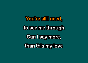 You're all I need,
to see me through

Can I say more,

than this my love