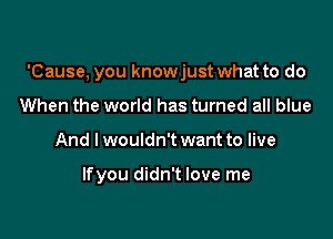'Cause, you knowjust what to do
When the world has turned all blue

And Iwouldn't want to live

lfyou didn't love me