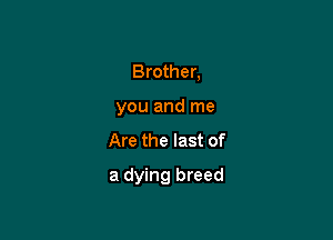 Brother,
you and me

Are the last of

a dying breed