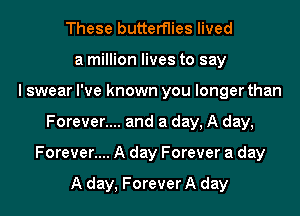 These butterflies lived
a million lives to say
lswear I've known you longer than

Forever.... and a day, A day,

Forever.... A day Forever a day

A day, Forever A day