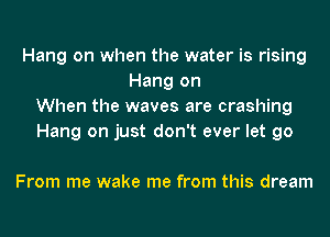 Hang on when the water is rising
Hang on
When the waves are crashing
Hang on just don't ever let go

From me wake me from this dream
