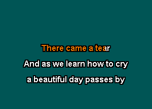 There came a tear

And as we learn how to cry

a beautiful day passes by