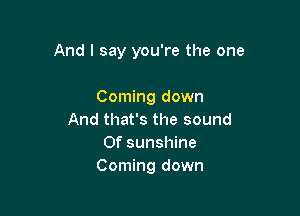 And I say you're the one

Coming down
And that's the sound
Of sunshine
Coming down