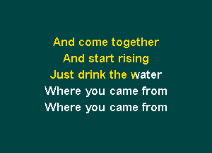 And come together
And start rising
Just drink the water

Where you came from
Where you came from