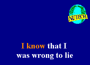 I know that I
was wrong to lie