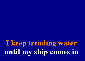 I keep treading water
until my ship comes in