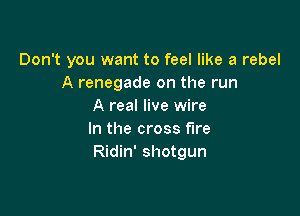 Don't you want to feel like a rebel
A renegade on the run
A real live wire

In the cross fire
Ridin' shotgun