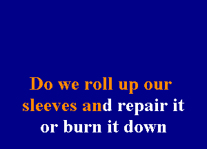 Do we roll up our
sleeves and repair it
or burn it down
