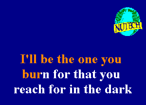 I'll be the one you
burn for that you
reach for in the dark