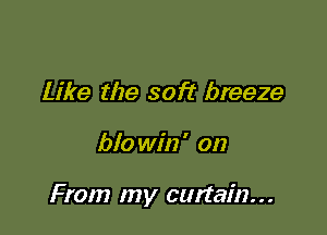 Like the soft breeze

blo win ' on

From my curtain...