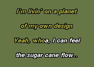 I 'm Iivin ' on a planet

of my own design
Yeah, whoa, I can fee!

the sugar cane flow..